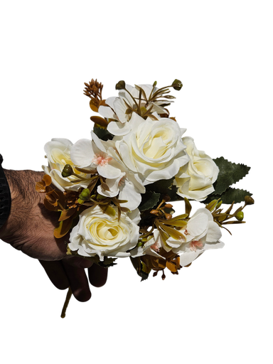 گوڵی بچووک