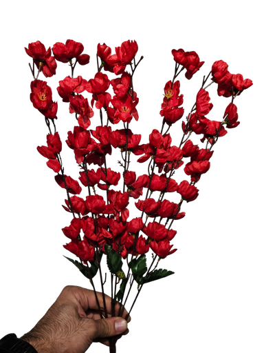 Red Cherry Bossom