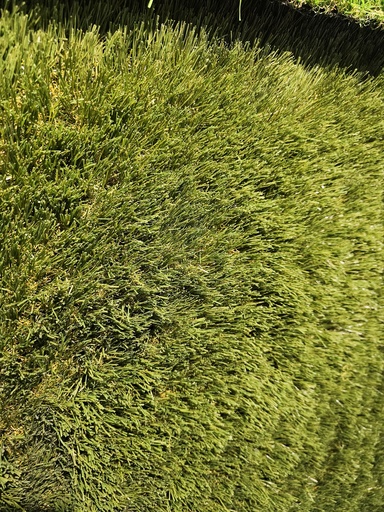 turf 50mm