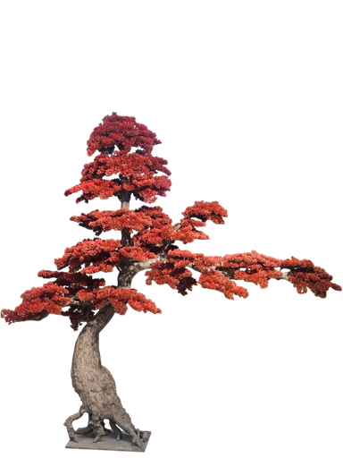Bonsai tree