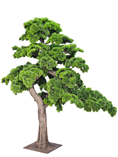 شجرة بونساي