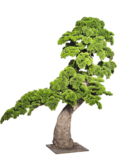 درەختی بۆنسای