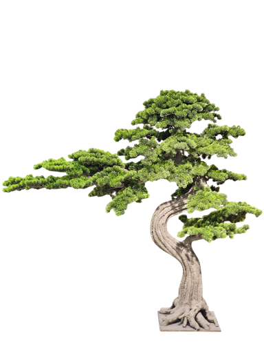 درەختی بۆنسای