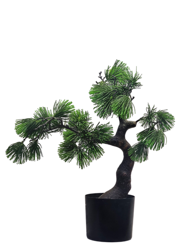 شجرة بونساي