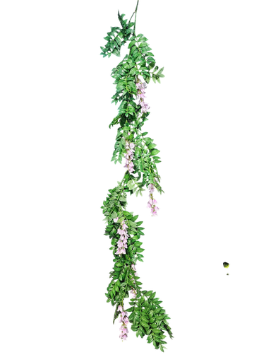 گەڵا هەڵواسراوەکان