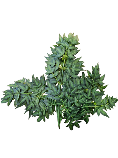 اثنا عشر ورقة