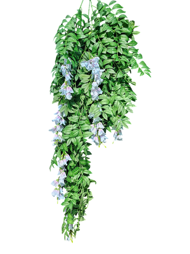 گەڵا هەڵواسراوەکان