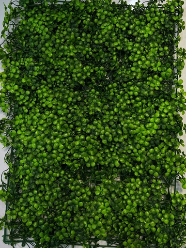 40*60 جرينوول