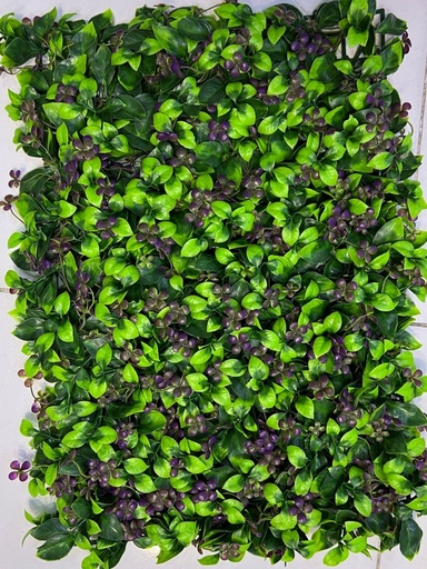 جدار أخضر 40*60