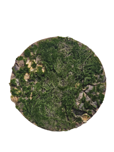 moss circle