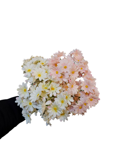 گوڵ