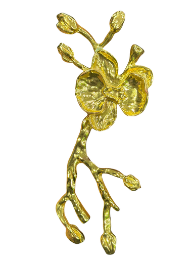 هەڵگری دەستەسڕ