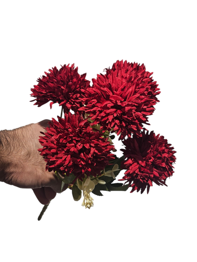 زهرة القرنفل الأحمر