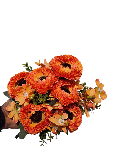 گوڵەبەڕۆژەی پرتەقاڵی