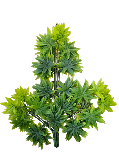 اثنا عشر ورقة