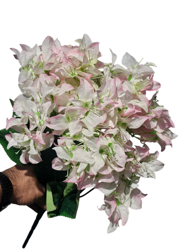 بوگەنڤیلای پەمەیی