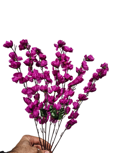 purple cherry blossom