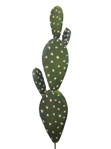 الصبار