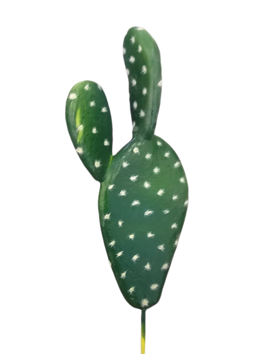 الصبار
