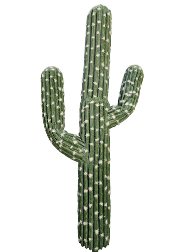 الصبار