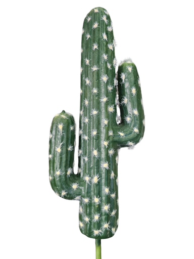 الصبار