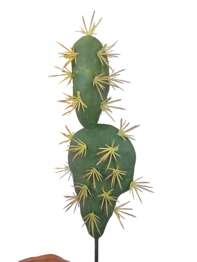 الصبار