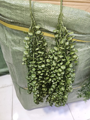 أوراق معلقة