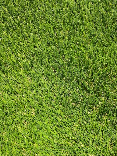 عشب عشبي 35 مم