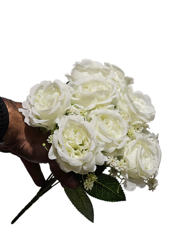 الفاوانيا البيضاء