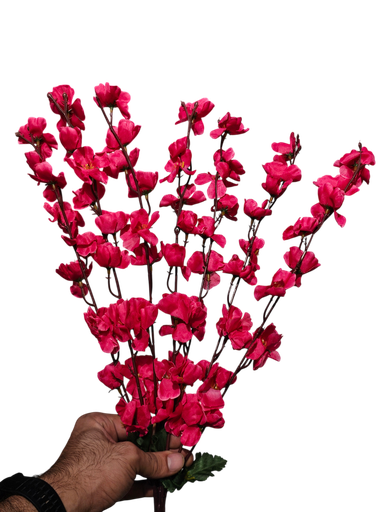 زهرة الكرز العنابية