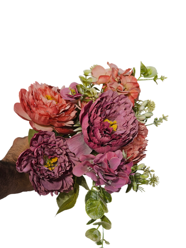 جيربرا ديزي