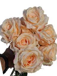 گوڵی پرتەقاڵی