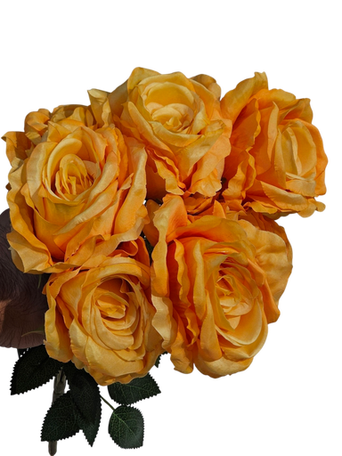 orange rose