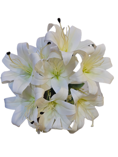 زهرة الزنبق