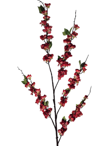 red flowers branch