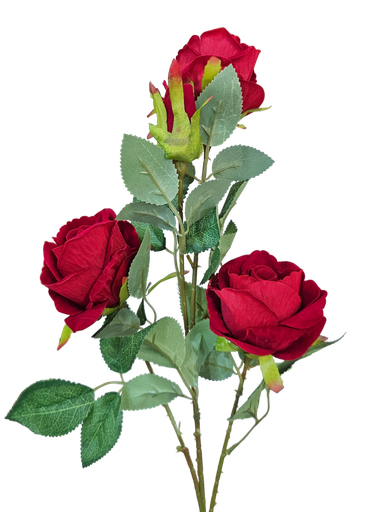 وردة حمراء مفردة