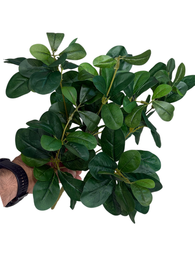 foliage branches