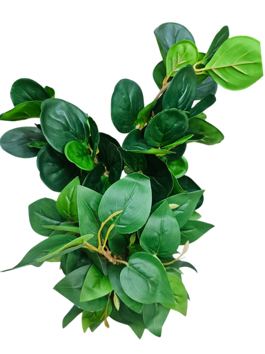 foliage branches