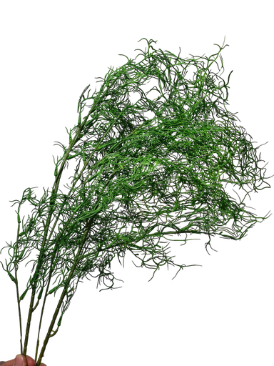 فروع الأوراق