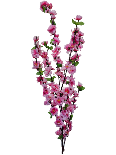 pink cherry blossom branch