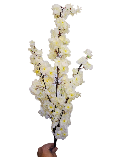 فرع زهرة الكرز الأبيض