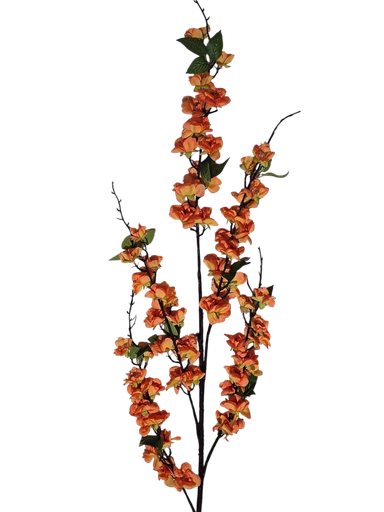 گوڵە پرتەقاڵییەکان