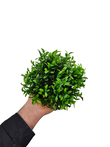 تۆپی سەوزی بچووک