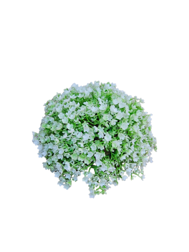 تۆپی سەوز لە ناوەڕاستدا.