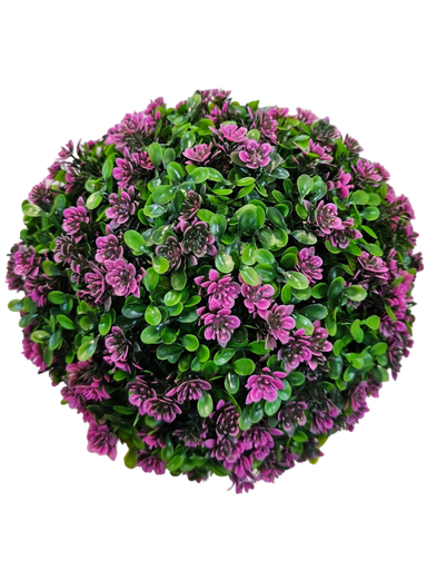 تۆپی سەوز گەورەترینیانە