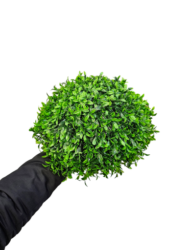 تۆپی سەوز گەورەترینیانە