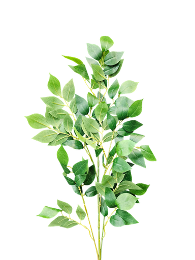 foliage branches