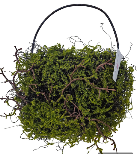 moss  Ring