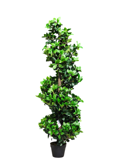 درەختی لۆربیێر 150 سانتیمەتر