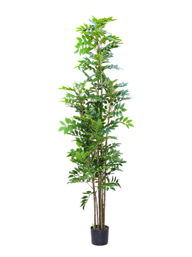 شجرة بطول 180 سم